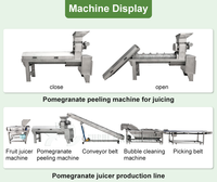 Hoge Kwaliteit Granaatappel Passievrucht Extractor Granaatappelsap en Schilmachine Granaatappelsap Verwerkingslijn