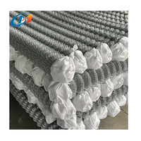 Paneles de valla metálica anticorrosión para jardín personalizados precios de valla de malla de alambre de eslabón de cadena galvanizada recubierta de PVC de 10 pies