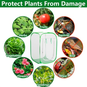 Profesyonel toptan kelebek <span class=keywords><strong>Cage</strong></span> kafes büyük beyaz Pop-up katlanabilir örgü kafes böcek - Product Image 2