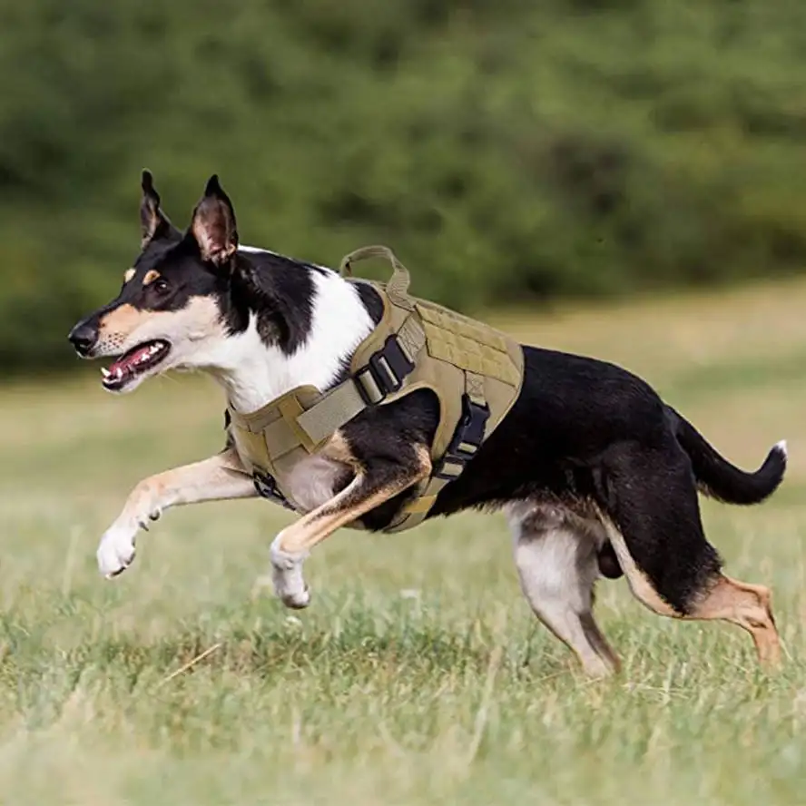Wholesale Everyday Dog Training Vest High Quality Training Tactical Dog Harness Fashion Pet Harnesses