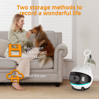 Robot de surveillance pour animaux de compagnie intelligent avec caméra UBOX, jouet pour animaux de compagnie, tumbler, audio bidirectionnel, vision nocturne, moniteur pour bébé, robot de surveillance pour animaux de compagnie WIFI