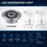 Lumière LED submersible annulaire pour fontaine, buse lumineuse IP68 en acier inoxydable 12/24V, jet d'eau sous-marin pour projets commerciaux extérieurs et aménagements paysagers