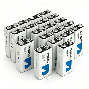 Piles alcalines 9V robustes, étanches, longue durée, durables pour microphone, détecteur de fumée, télécommande, approvisionnement en vrac, OEM - Product Image 1