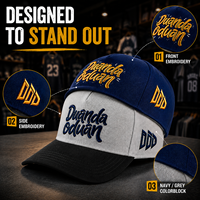 Gorra de Béisbol de 5 Paneles con Bordado 3D Personalizado, Letras Frontales, Logotipo Lateral, Color Azul Marino y Gris, Diseño Estructurado OEM