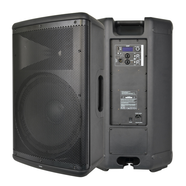 RQSONIC CBR12D3 Wide Sound PA Heavy-Duty Drivers Speaker System Professional 12-Inch Active Speakers