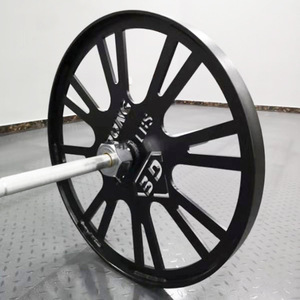 แผ่นเหล็กหล่อแบบพกพาขนาด 0.25 0.<span class=keywords><strong>5</strong></span> 0.75 1 <span class=keywords><strong>ป</strong></span>อนด์ สำหรับเปลี่ยนน้ำหนักเป็น<span class=keywords><strong>เศษส่วน</strong></span> 0.125 0.25 กิโลกรัม พร้อมสี - Product Image 4