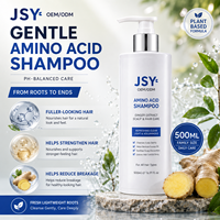 OEM ODM Label Pribadi 500ml Sampo Asam Amino Jahe Berbasis Tumbuhan Pengontrol Minyak Perawatan Kulit Kepala Penambah Volume Perawatan Rambut untuk Semua Jenis Rambut