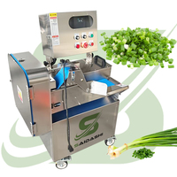 SAIDASHI Eco-vriendelijke multifunctionele snijband voor groenten, 380V/110V/440V/220V, voor gebruik in drankenfabrieken