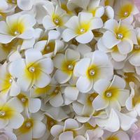 EVA Mousse Oeuf Fleur Hawaïenne Plumeria Fleurs Frangipanier Fleur Artificielle Pinces À Cheveux pour Filles