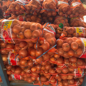 Cebolla Fresca de Calidad de Exportación: Cebolla Roja y Cebolla Amarilla Nueva Cosecha - Product Image 4