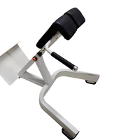 Banc de musculation commercial pliable à 45 degrés pour extensions dorsales, chaise romaine réglable, banc de presse, banc d'hyperextension et banc de redressements assis