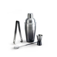 Ensemble de shakers à cocktails en acier inoxydable de 550 ml avec motif neige, couleur dégradée