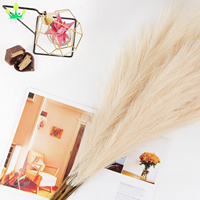 Rumput Pampas Besar Berbulu Tinggi Bunga Buatan Boho Decor Bulrush Reed Grass untuk Vas Filler Farmhouse Dekorasi Pernikahan Rumah