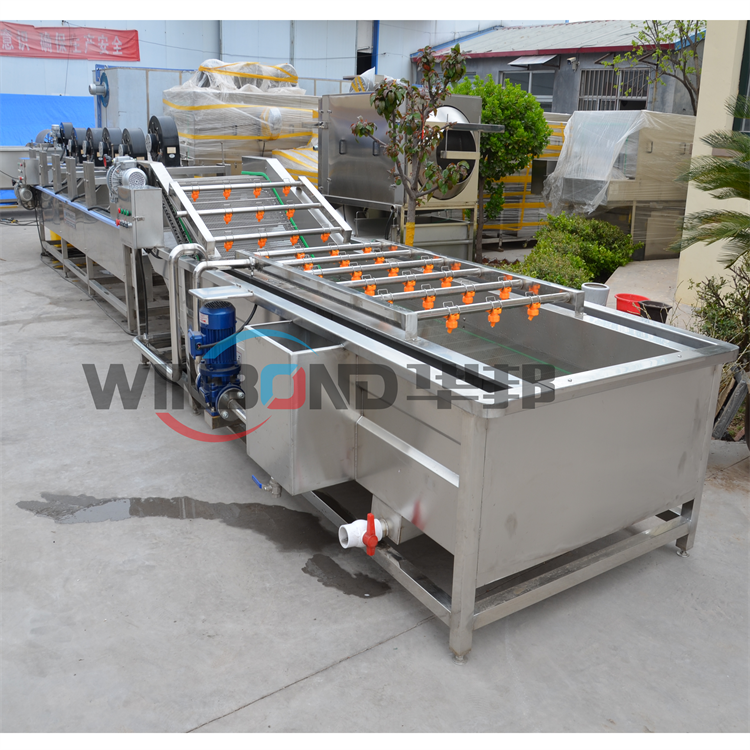 Fruit and Vegetable Washing Machine or