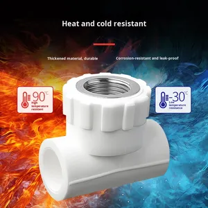 <span class=keywords><strong>PPR</strong></span> chủ đề nội bộ nữ kết nối hình lục giác đầu TEE thẳng phụ kiện đường ống nước TAP nóng chảy - Product Image 4