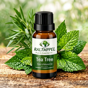 Cardamom Essential Oil 10ml <b>Cork</b> Stopper <b>Bottle</b> Pure Natural Aromatherapy Topical Use RAUTIMPEX INTERNATIONAL RIGCO 3 Year Shelf - Product Image 1