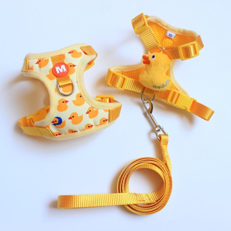 Yellow (with leash)