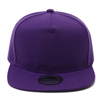 Gorra de Béisbol Snapback al por Mayor para Hombre y Niño, Estilo Hip Hop, Visera Plana, Color Sólido, Gorra Trucker Ajustable