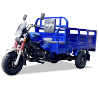 Tricycle cargo à moteur essence pour adultes, scooter pour le transport de marchandises