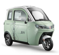 Hree Wheels-triciclo eléctrico de cuerpo cerrado para adultos, vehículo de gran potencia con asiento de pasajero