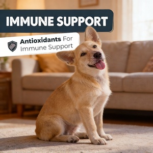 Friandises pour la prise de masse musculaire chez le chien - Gain de poids, récupération de la force, renforcement musculaire, santé immunitaire, santé globale, haute teneur en protéines - Product Image 5