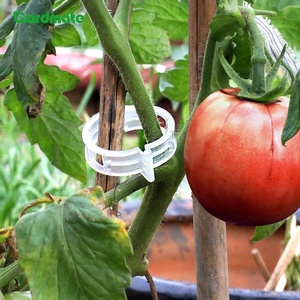 100 clips de soutien pour plantes, pour <span class=keywords><strong>fixer</strong></span> les tomates, les concombres, les légumes, les fleurs, les plantes grimpantes - Product Image 4