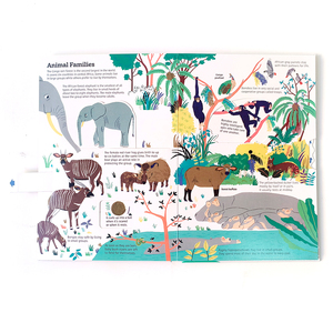 Popup interactif personnalisé en usine pour enfants Livres à cartes Service d'impression de livres pop-up en Chine pour enfants - Product Image 4
