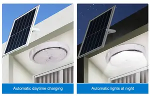 Lampu Led taman, 50w 100w 200w 300w 400w 500W langit-langit tenaga surya dalam ruangan ruang tamu kamar tidur halaman pencahayaan balkon hukum induksi lampu taman