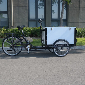 Vélo <span class=keywords><strong>cargo</strong></span> électrique haute performance avec fourche en aluminium Tricycle fortement sûr avec couvercle de boîte - Product Image 1