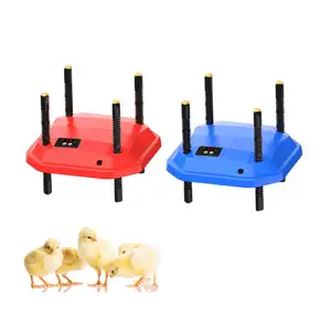 Chick Brooder Heating Plate Com Altura Ajustável e Temperatura