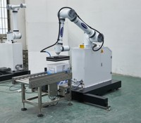 Máquina Automatizada de Paletización para Empacar Productos, con Apilamiento por Succión y Detección de Colisiones Integrada