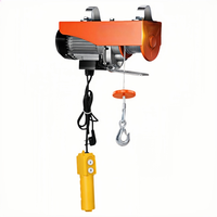 Palans électriques de levage sans fil légers et silencieux haute performance 110V60Hz monophasés pour garage et usine
