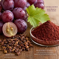 Extrait de pépins de raisin 95% OPC Proanthocyanidines HPLC de qualité alimentaire, poudre brun rougeâtre, fourni par l'usine