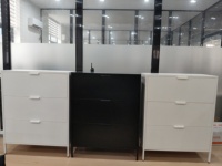 Meuble à chaussures moderne en métal, armoire à chaussures en acier peu encombrante, casier mural de rangement pour chaussures, étagère de rangement pour chaussures pour le salon