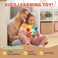 Jouets de tri des couleurs Jouets sensoriels Correspondance des couleurs Fidget Soulagement de l'anxiété Anti Stress Motricité fine Jeu Jouets pour les tout-petits