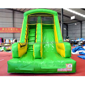 Château gonflable et toboggan aquatique en PVC certifié CE, capacité 100-500 kg, pour usage intérieur/extérieur, divertissement familial - Product Image 5