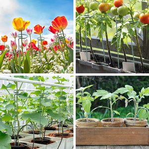 Support <span class=keywords><strong>de</strong></span> plante à tige unique pour <span class=keywords><strong>jardin</strong></span>, anneau <span class=keywords><strong>de</strong></span> soutien pour orchidée, pivoine, lys, rose, piquets <span class=keywords><strong>de</strong></span> soutien pour plantes, vente chaude - Product Image 5