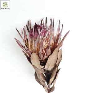 <span class=keywords><strong>Al</strong></span> por mayor <span class=keywords><strong>venta</strong></span> caliente Natural procesados secos Protea flor seca Real para DIY <span class=keywords><strong>flores</strong></span> <span class=keywords><strong>de</strong></span> alta decoración <span class=keywords><strong>de</strong></span> la boda <span class=keywords><strong>de</strong></span> acuerdo - Product Image 4