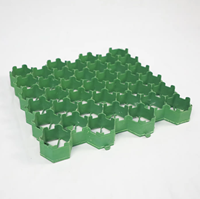 Plantation d'herbe/grille de pavé d'herbe/plastique HDPE pour la pente d'allée de stationnement