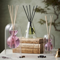 Bouteille diffuseur à roseaux en verre dépoli pour parfum de luxe décoratif, emballage vide pour liquide aromatique, 50ml 100ml 200ml, vente en gros directe usine
