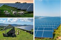 Sistema de Energía Solar de 12KW con Batería de Litio, Controlador MPPT Híbrido, Kit Completo con Inversor, Paneles, Cables, Sistema de Respaldo para Toda la Casa