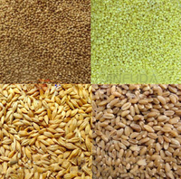 Itop — fraiseuse à riz multi-fonctions Portable, appareil moderne pour le riz, pour petit usage domestique