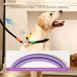 Tali hewan peliharaan berjalan luar ruangan grosir baru dengan gagang busa awan bahan nilon dan dekorasi pita Slung di atas pinggang - Product Image 3