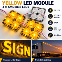 Module LED 4 LED 12V SMD2835 0.72W IP67 Étanche 38x38mm 170 Degrés Lumière Blanche Rouge Ambre pour Lettres Lumineuses Éclairage Latéral de Camion