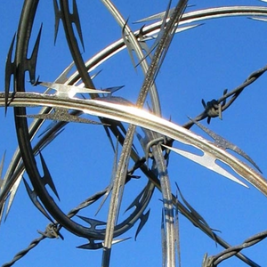 Clôture de sécurité en acier galvanisé avec design à double spirale, service de modélisation 3D écologique pour les maisons - Product Image 2