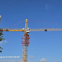 HAISHAN 3T Mini Grue à Tour Compacte avec Boîte de Vitesses, pour la Construction, à Montée Intérieure, Télécommandée RC QTZ31.5-HS4207