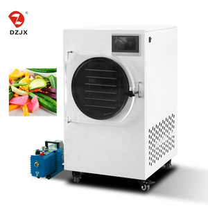 DZJX industriale liofilizzatore per nanomateriale Sinoped liofilizzazione macchina liofilizzatore per cibo vuoto laboratorio liofilizzatore USA - Product Image 4