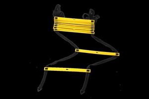 Bộ Dụng Cụ Tập Luyện Nhanh Nhẹn Tốc Độ Bóng Đá Thiết Bị Cầu Thang Vòng Lục Giác Cầu Phản Ứng Hình Nón Kèm Túi Đựng - Product Image 3