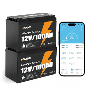 カスタム充電式12v200ahリチウム<span class=keywords><strong>Lifepo4</strong></span>バッテリー100ah200ah300ahリチウムイオンバッテリーパック - Product Image 3