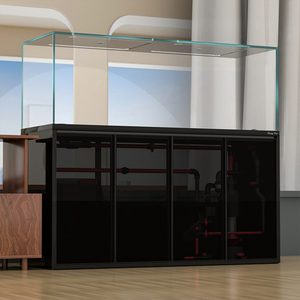 Nouvel Aquarium sans Cadre <span class=keywords><strong>Grande</strong></span> Taille Star River 2025 avec Porte Frontale et <span class=keywords><strong>Film</strong></span> Teinté en Verre Pare-balles pour Décoration Intérieure et Élevage de Poissons Dragon - Product Image 2